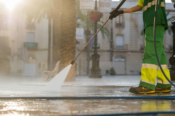 Best Soft Washing for Delicate Surfaces in Mcclure, PA